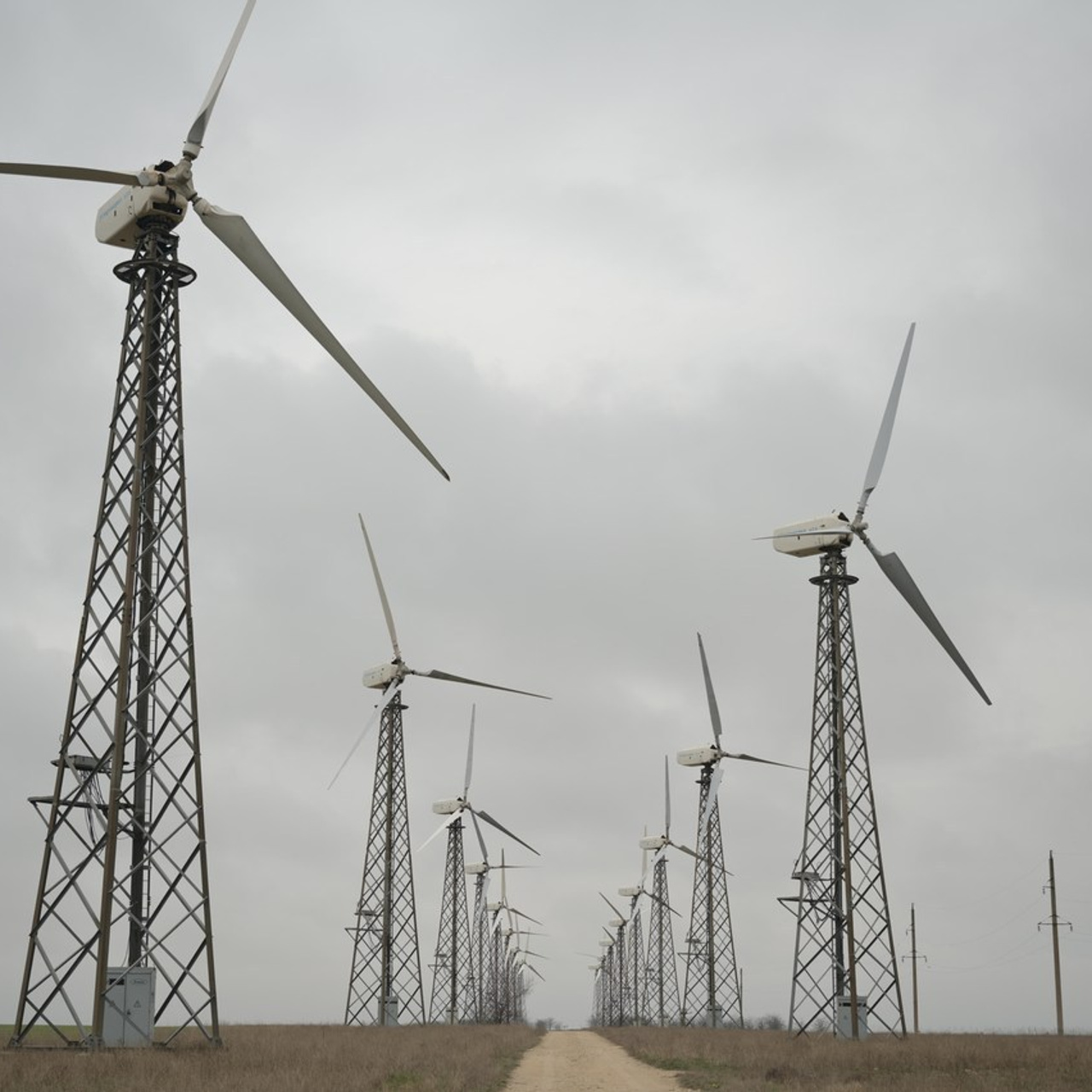 Отзывы. Семейный и женский фотограф в Крыму Олеся Вайло