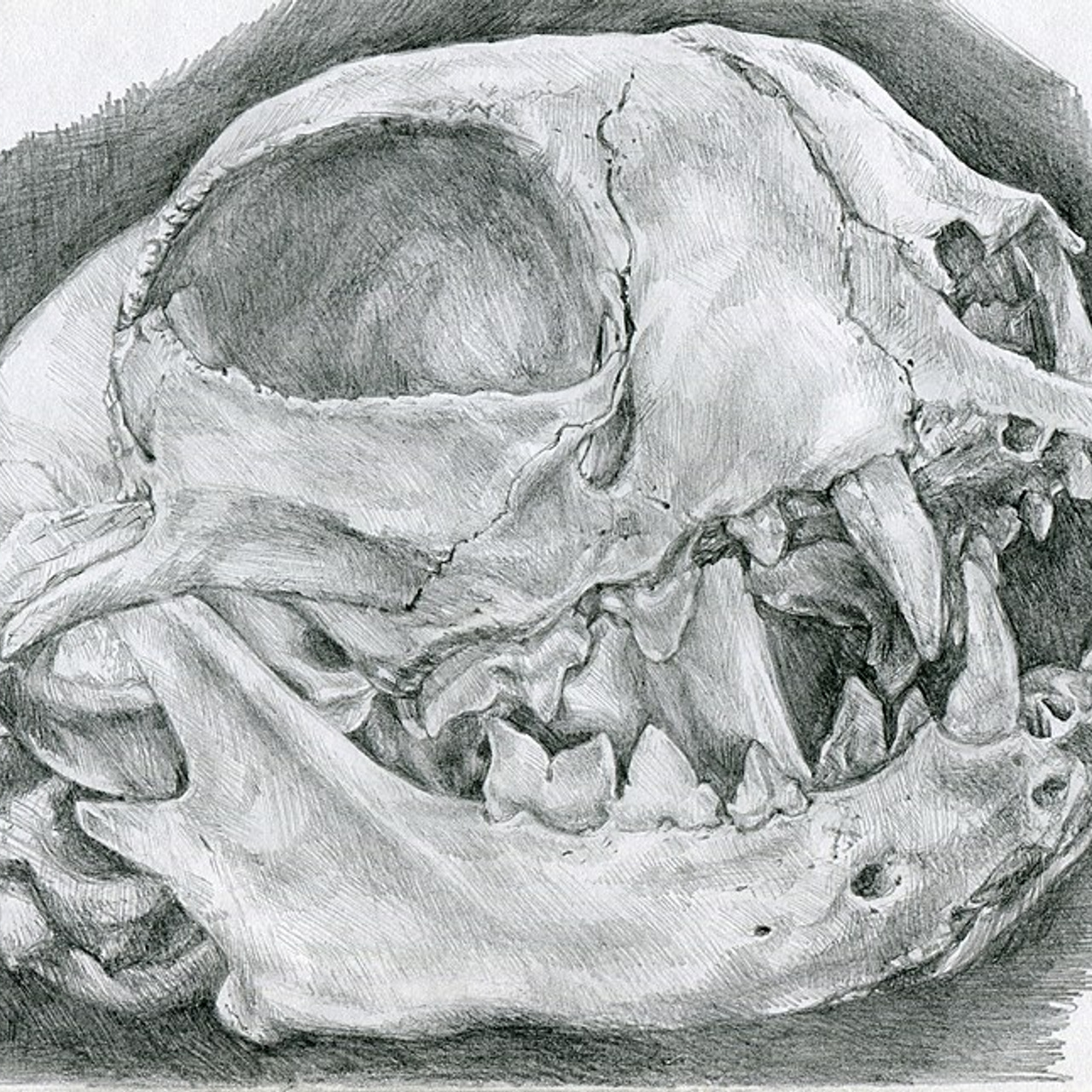 Графика Сони Корсаковой. Живопись Сони Корсаковой