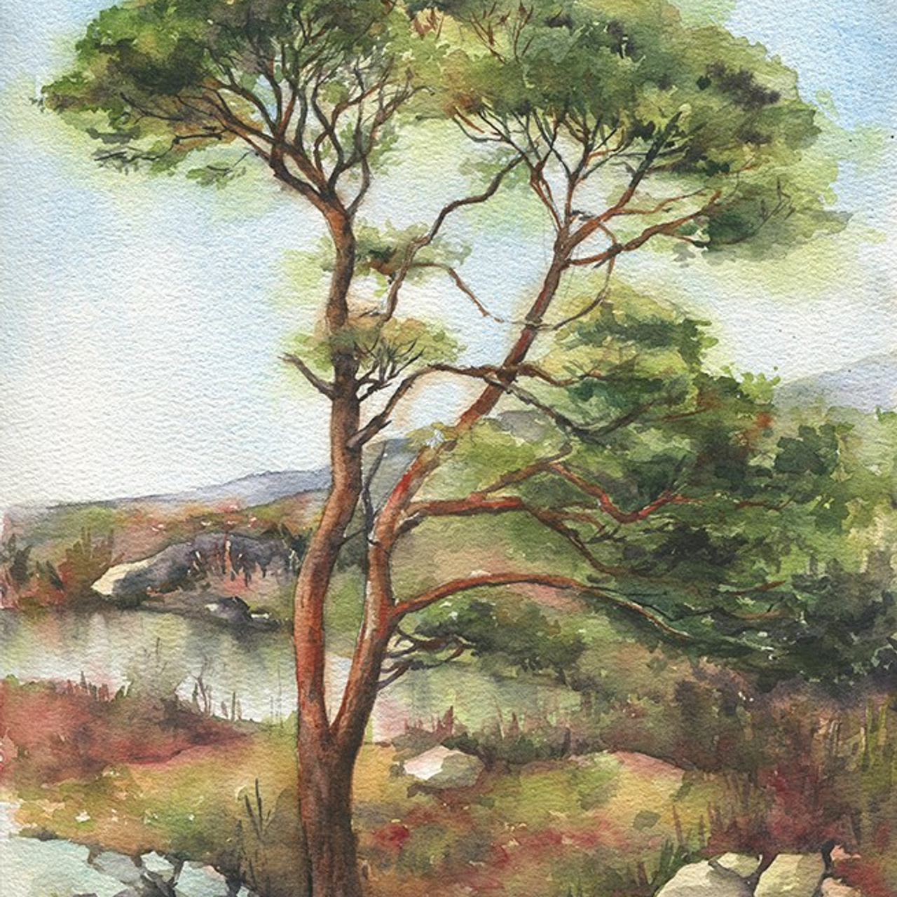 Акварель Сони Корсаковой. Живопись Сони Корсаковой