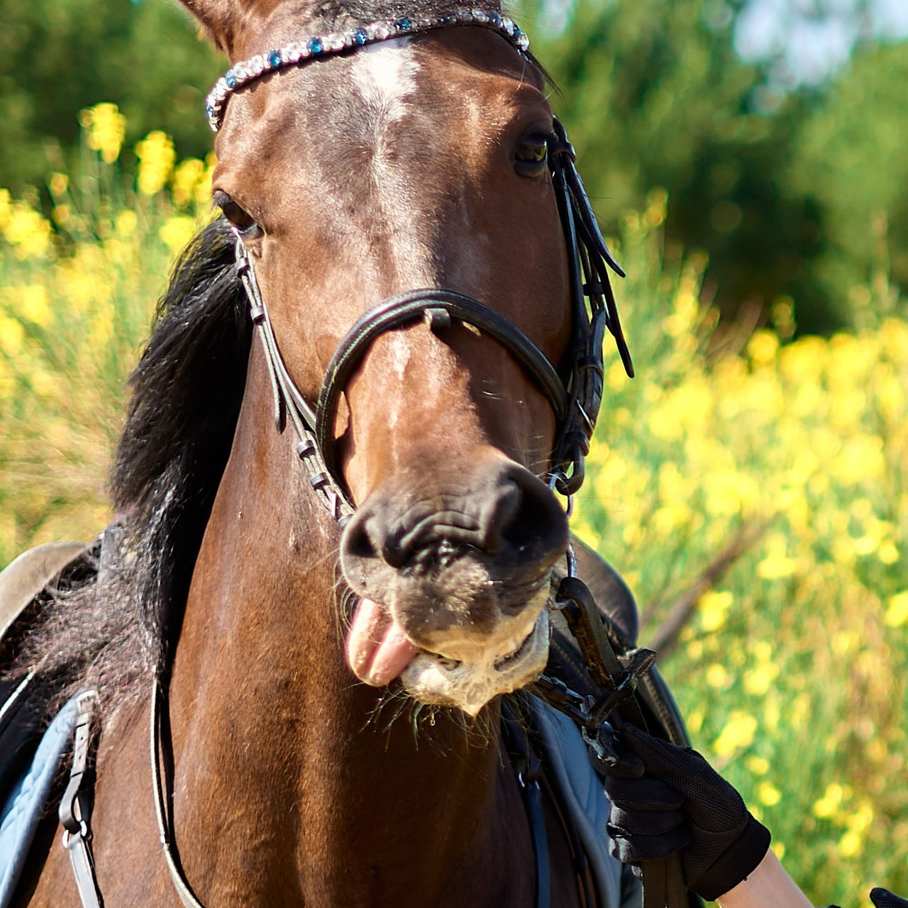 Отзывы. Фотограф в Севастополе