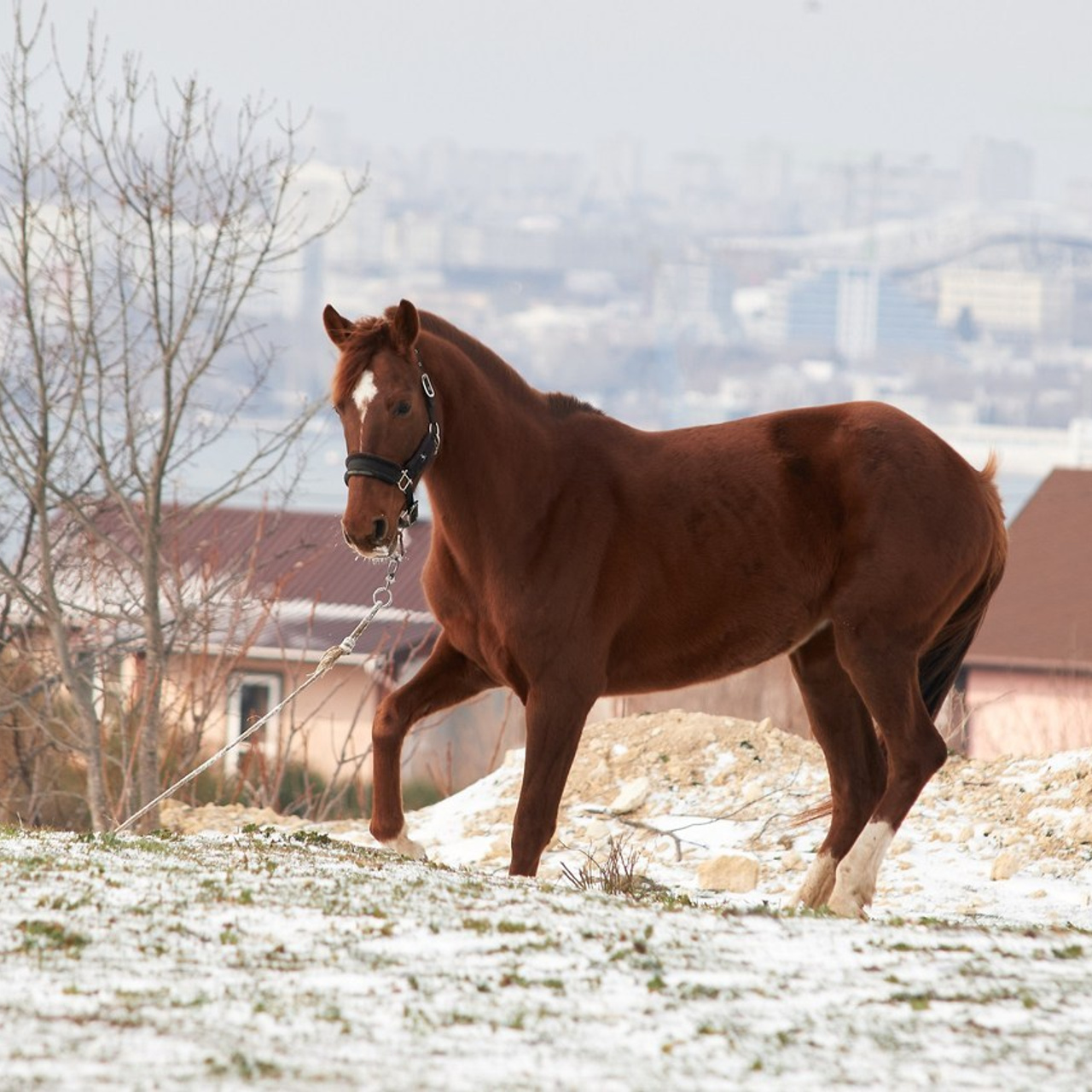 Отзывы. Фотограф в Севастополе