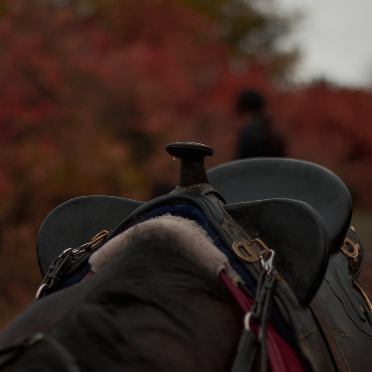 Отзывы. Фотограф в Севастополе