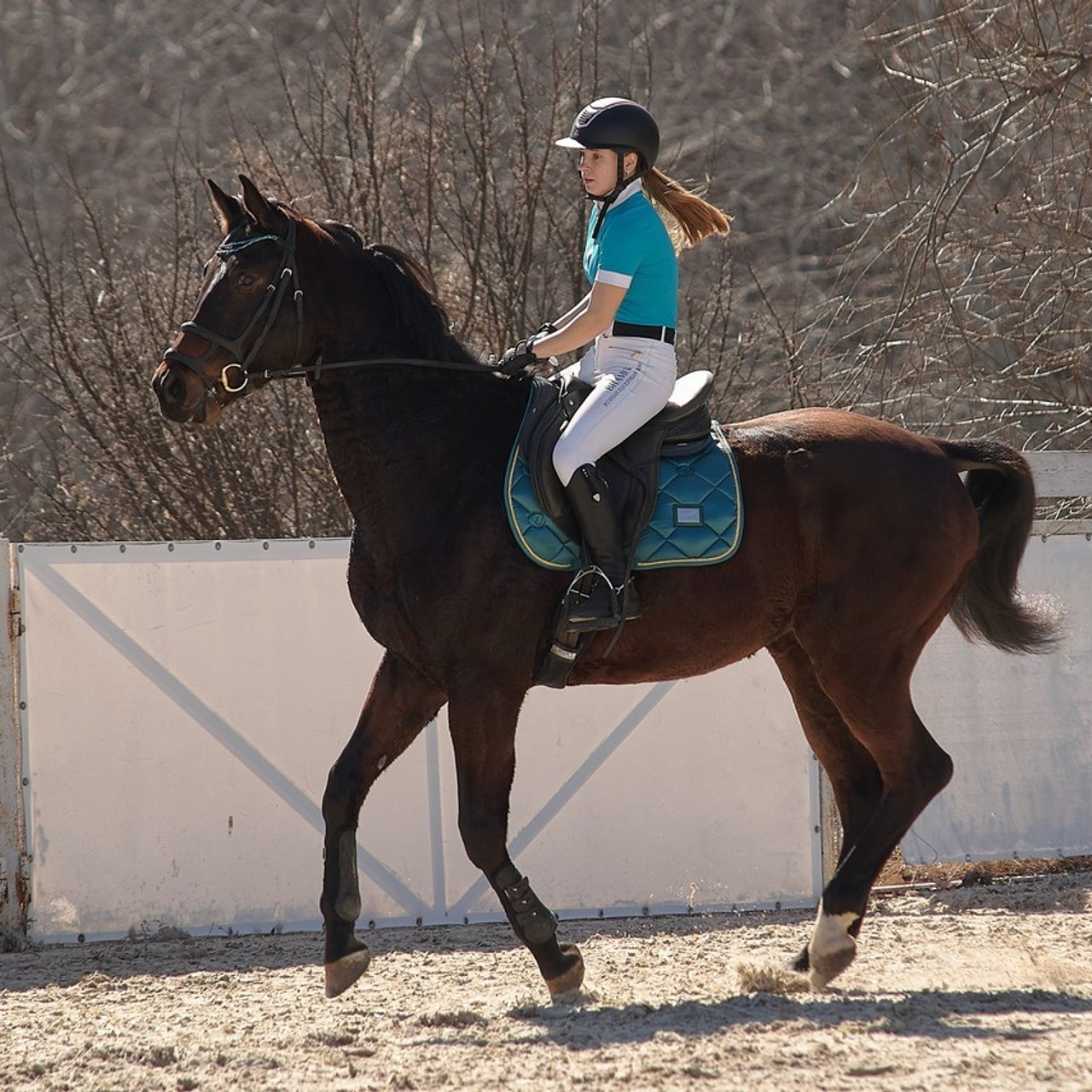 Отзывы. Фотограф в Севастополе