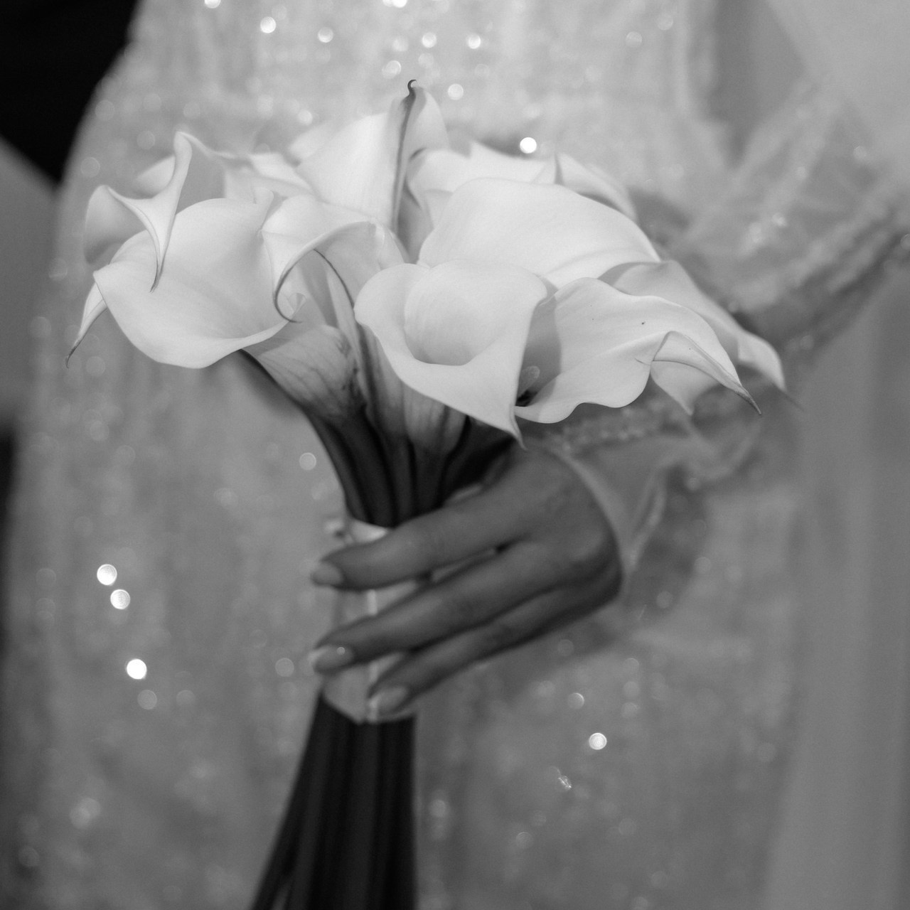 Отзывы. Свадебный и семейный фотограф Евгения Россинская