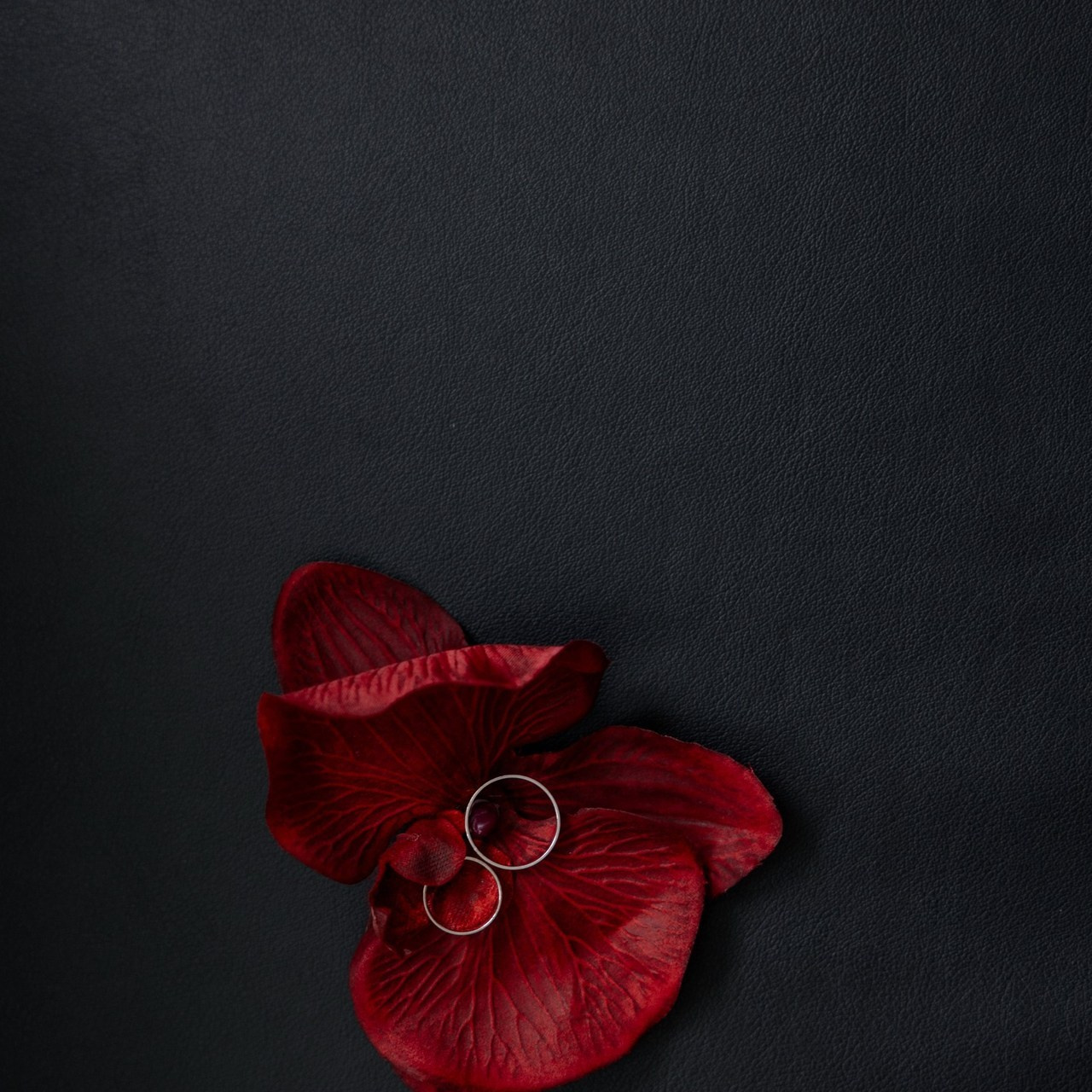 Отзывы. Свадебный и семейный фотограф Евгения Россинская