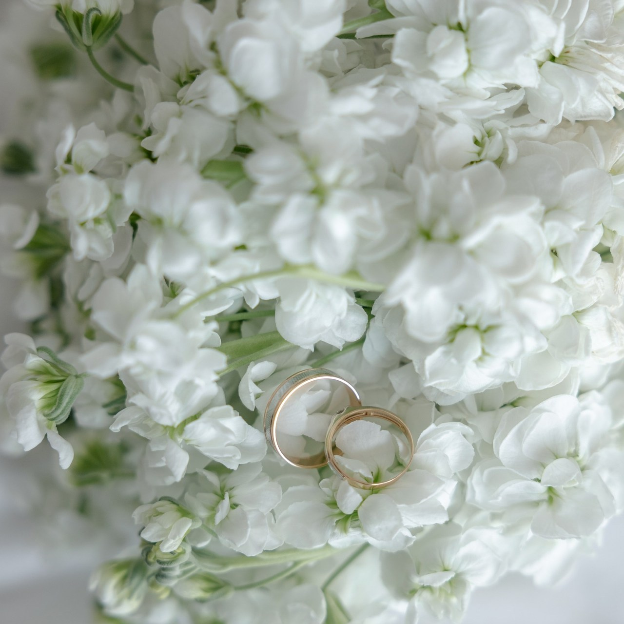 Отзывы. Свадебный и семейный фотограф Евгения Россинская