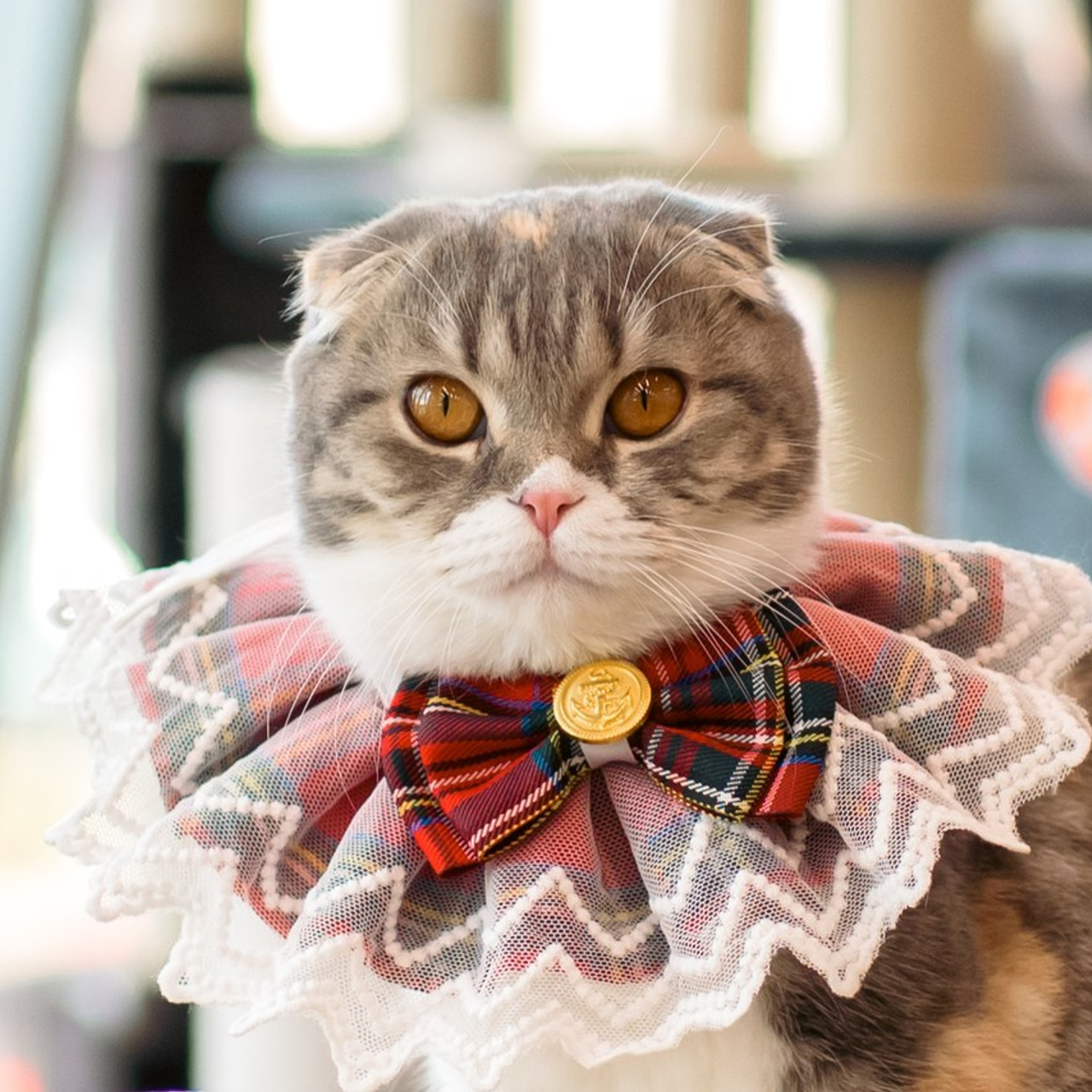 Отзывы. Максим Шарий — самый лучший фотограф на ваше мероприятие в Новосибирске