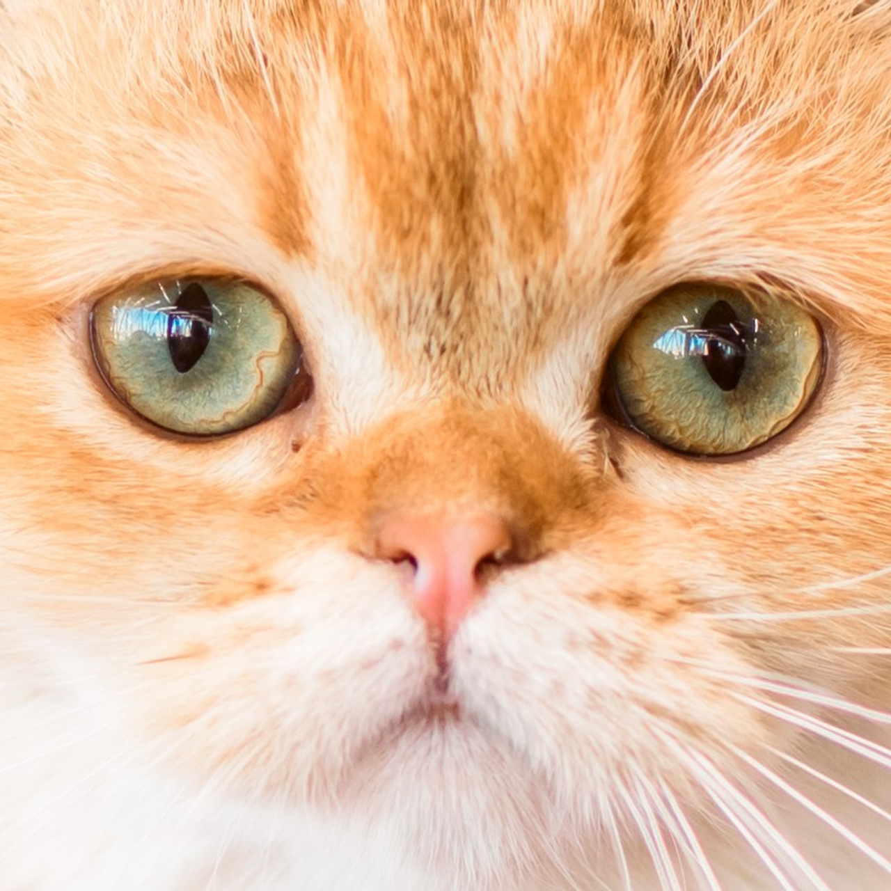 Отзывы. Максим Шарий — самый лучший фотограф на ваше мероприятие в Новосибирске