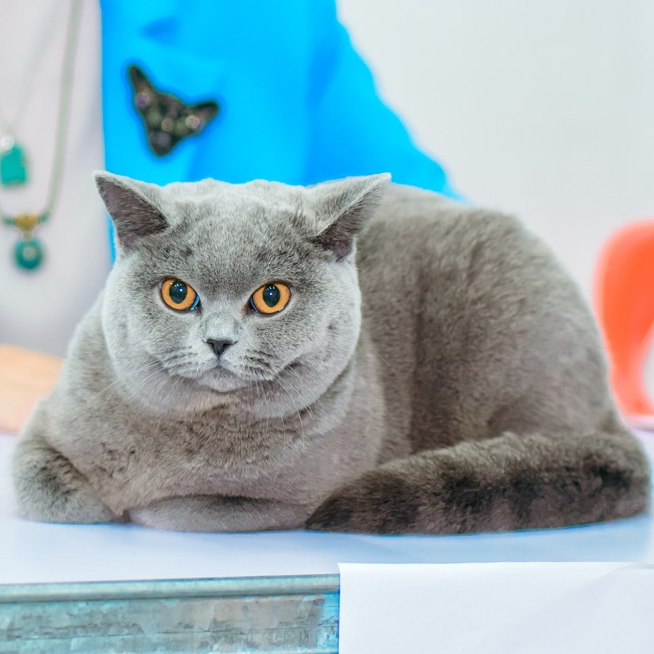 Отзывы. Максим Шарий — самый лучший фотограф на ваше мероприятие в Новосибирске