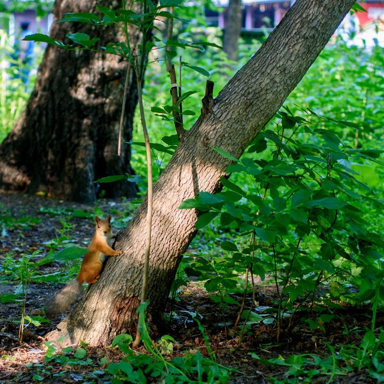 Отзывы. Максим Шарий — самый лучший фотограф на ваше мероприятие в Новосибирске