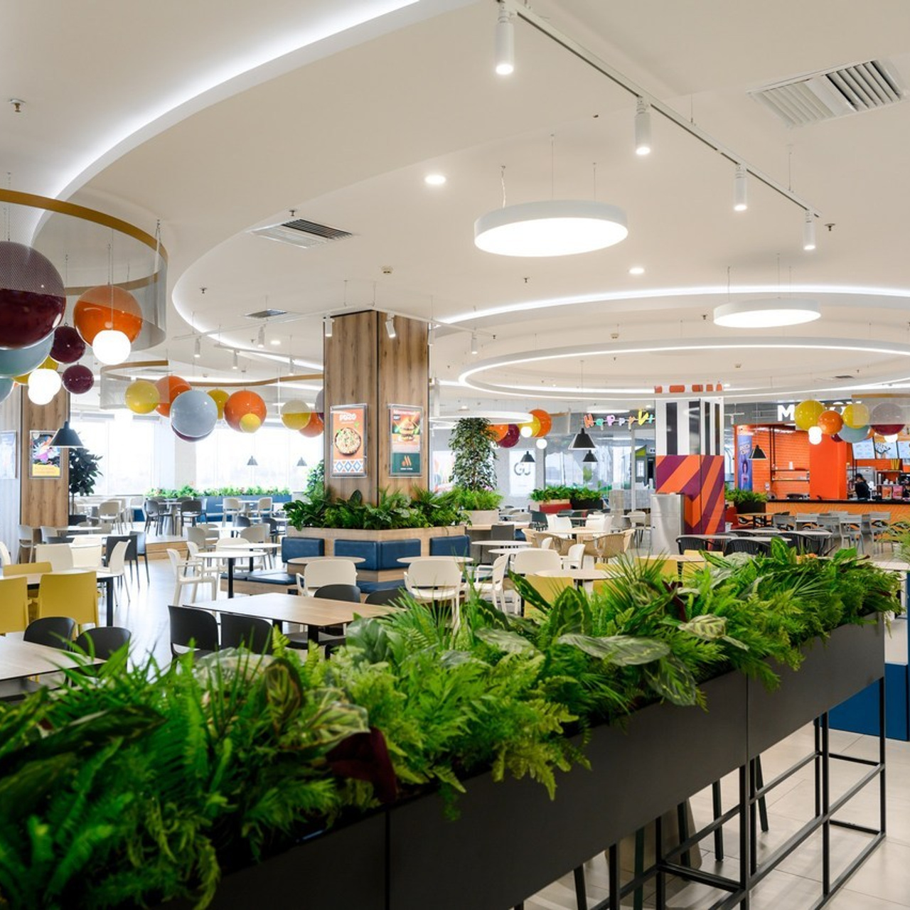 Reviews. Wedding photographer