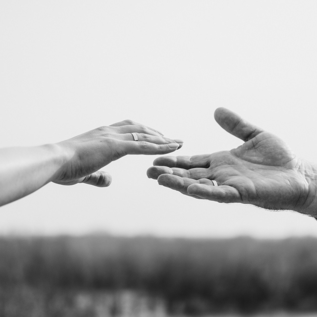 Отзывы. Семейный фотограф в Оренбурге Юлия Зиборева