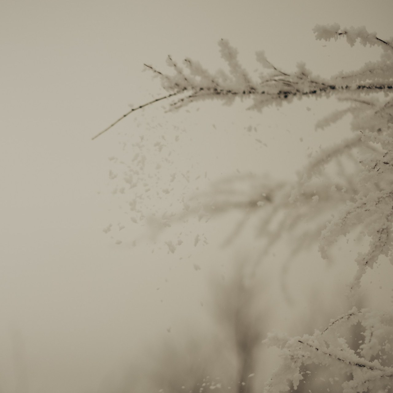 Отзывы. Семейный фотограф в Оренбурге Юлия Зиборева
