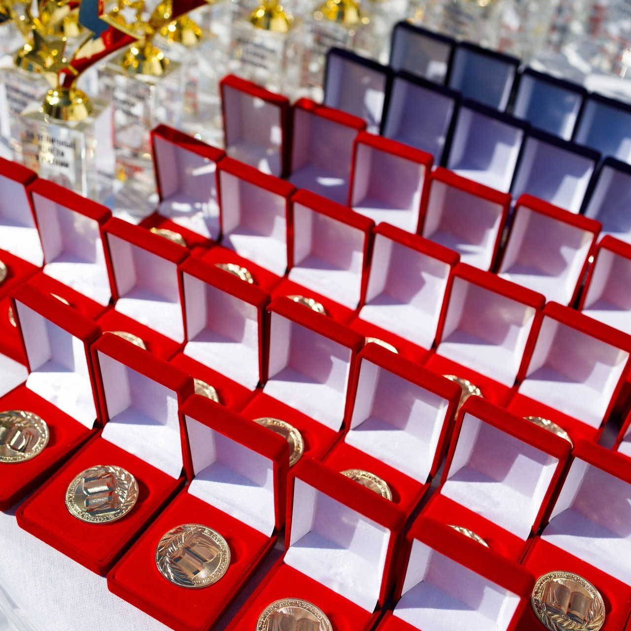 Отзывы. Фотограф Валерия Ковпак. Москва. Химки. Куркино