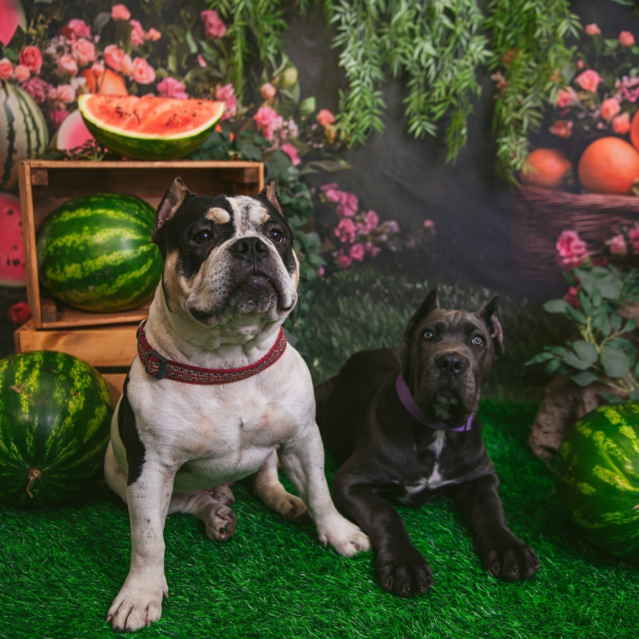 Отзывы. Детский фотограф Магадан