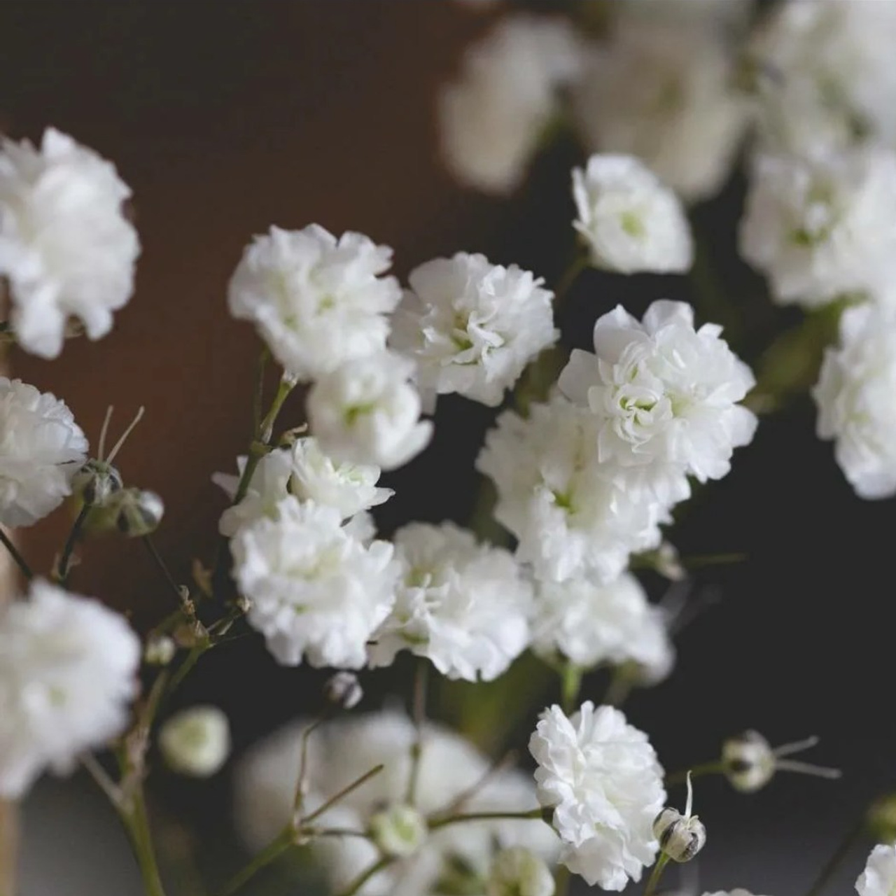 Отзывы о моей работе