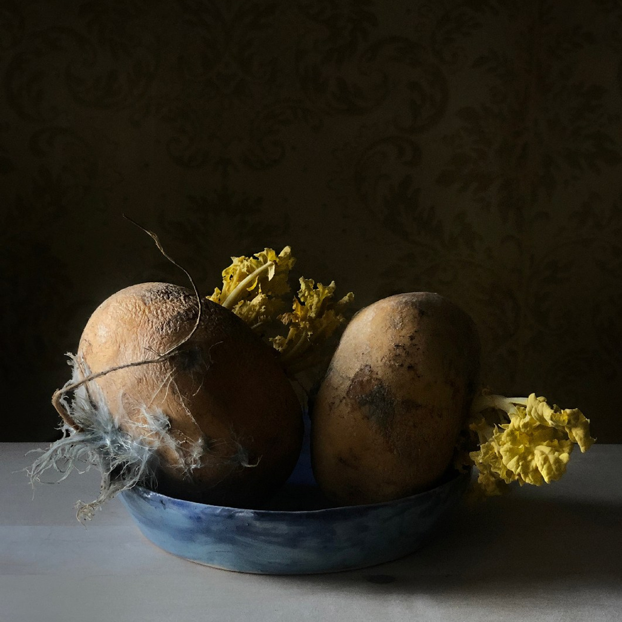 Репки / Turnips