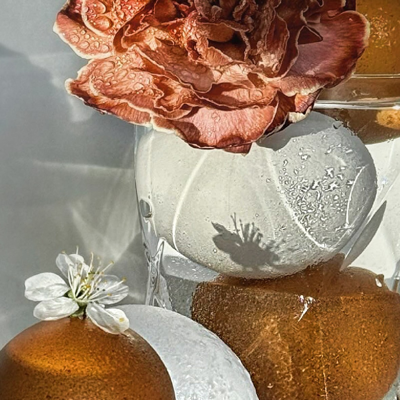 Спасибо за покупку. Elena Anosova is an award-winning visual artist