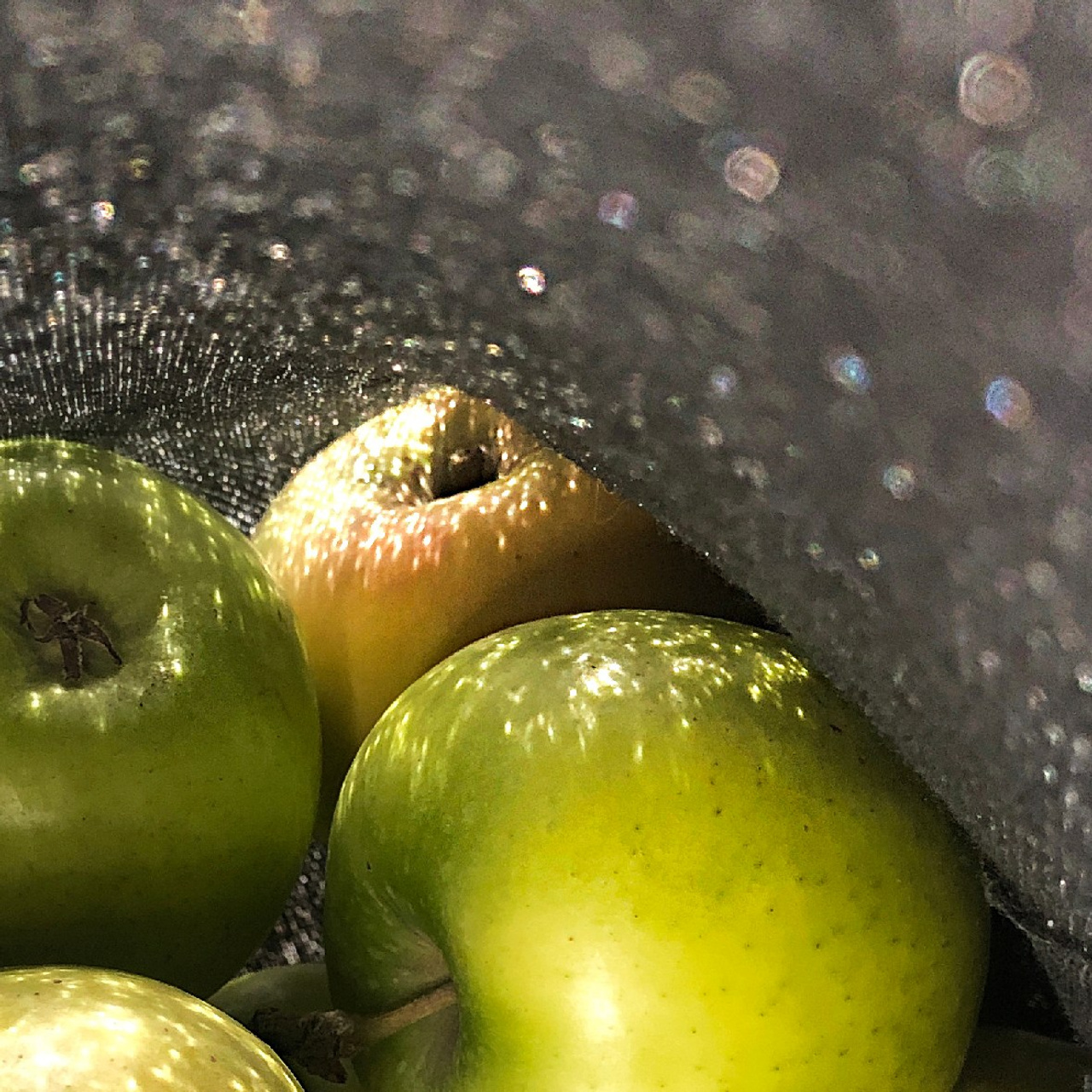 Яблоки / Apples