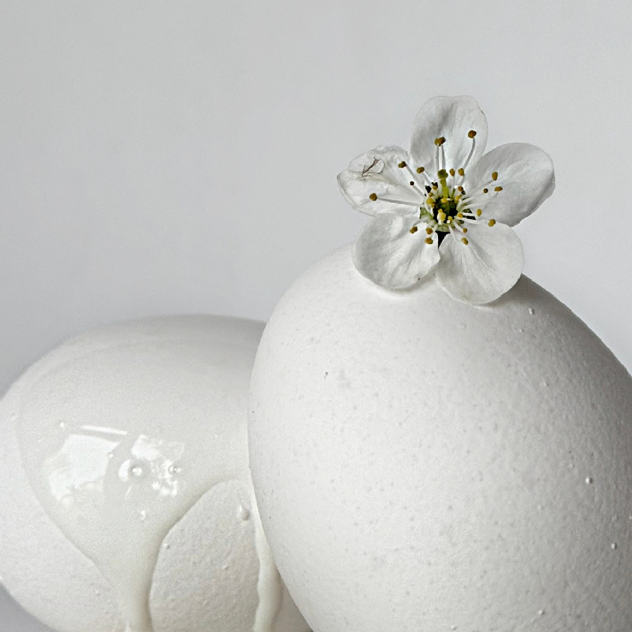 Яйцо белое / White Egg