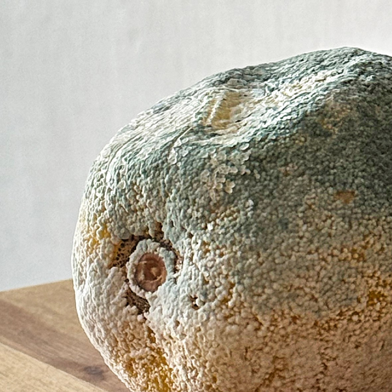 Спасибо за покупку. Elena Anosova is an award-winning visual artist