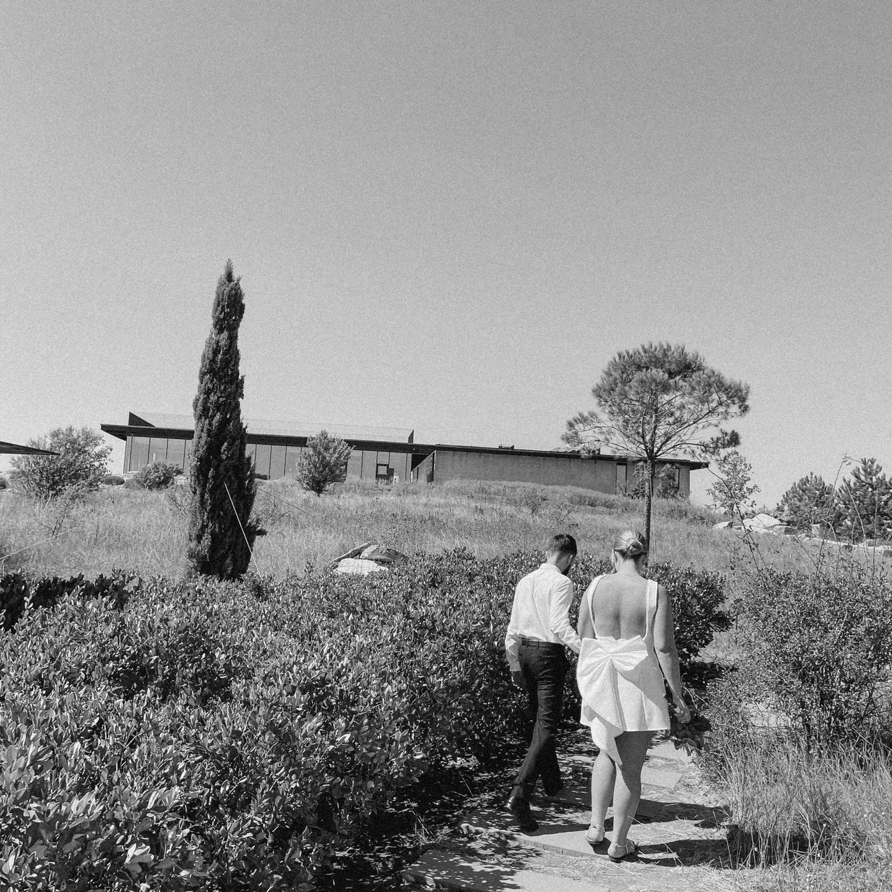 Отзывы. Фотограф Алёна Сергеевна Aloha_chë