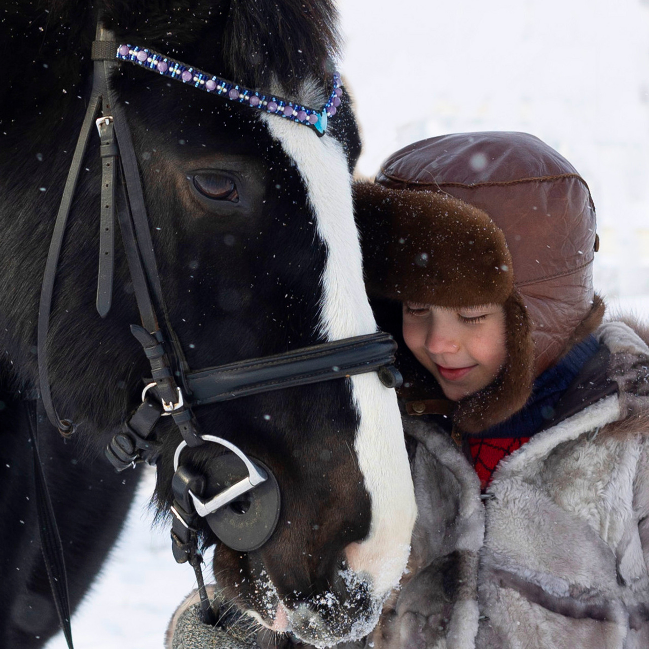 Съёмка с животными