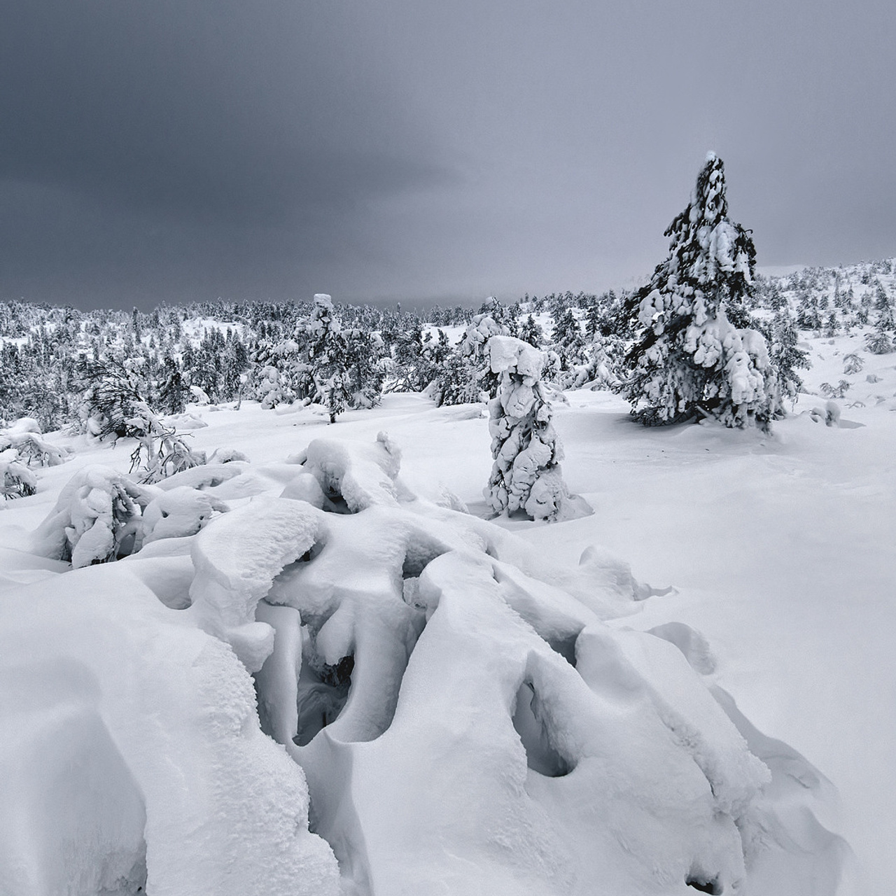 Фототур «Зимние краски Кольского» (25.02.23 — 04.03.23). Фотограф Константин Шамин