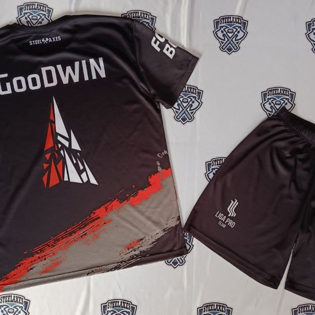 Liga Pro - профессиональные турниры в девяти видах спорта