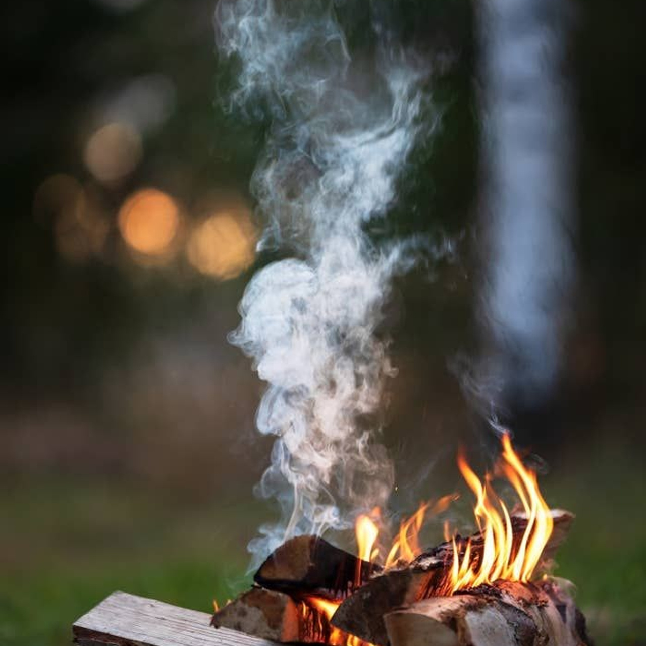 Отзывы. Добро пожаловать в Кемпинг — уникальное место для отдыха на лоне природы!