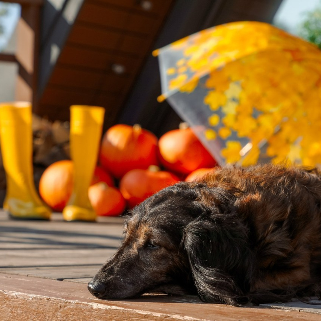 Отзывы. Свадебный фотограф в Москве Анна Гусева