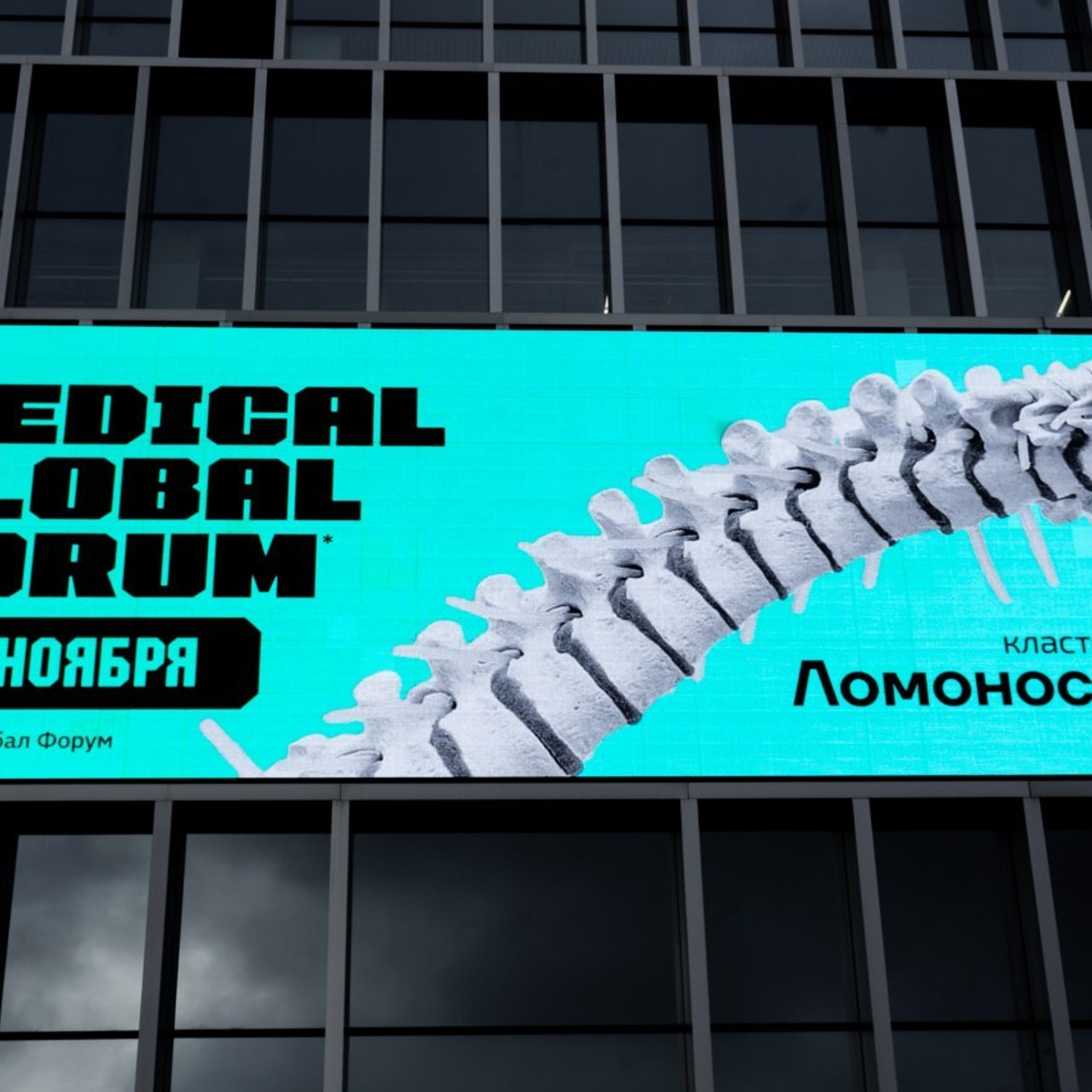 Отзывы. Свадебный фотограф Москва