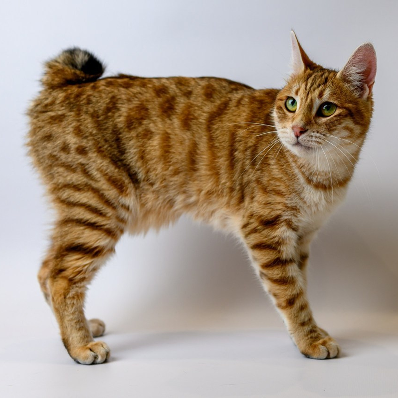 Отзывы. Фотограф в Москве Демьян Лопатов