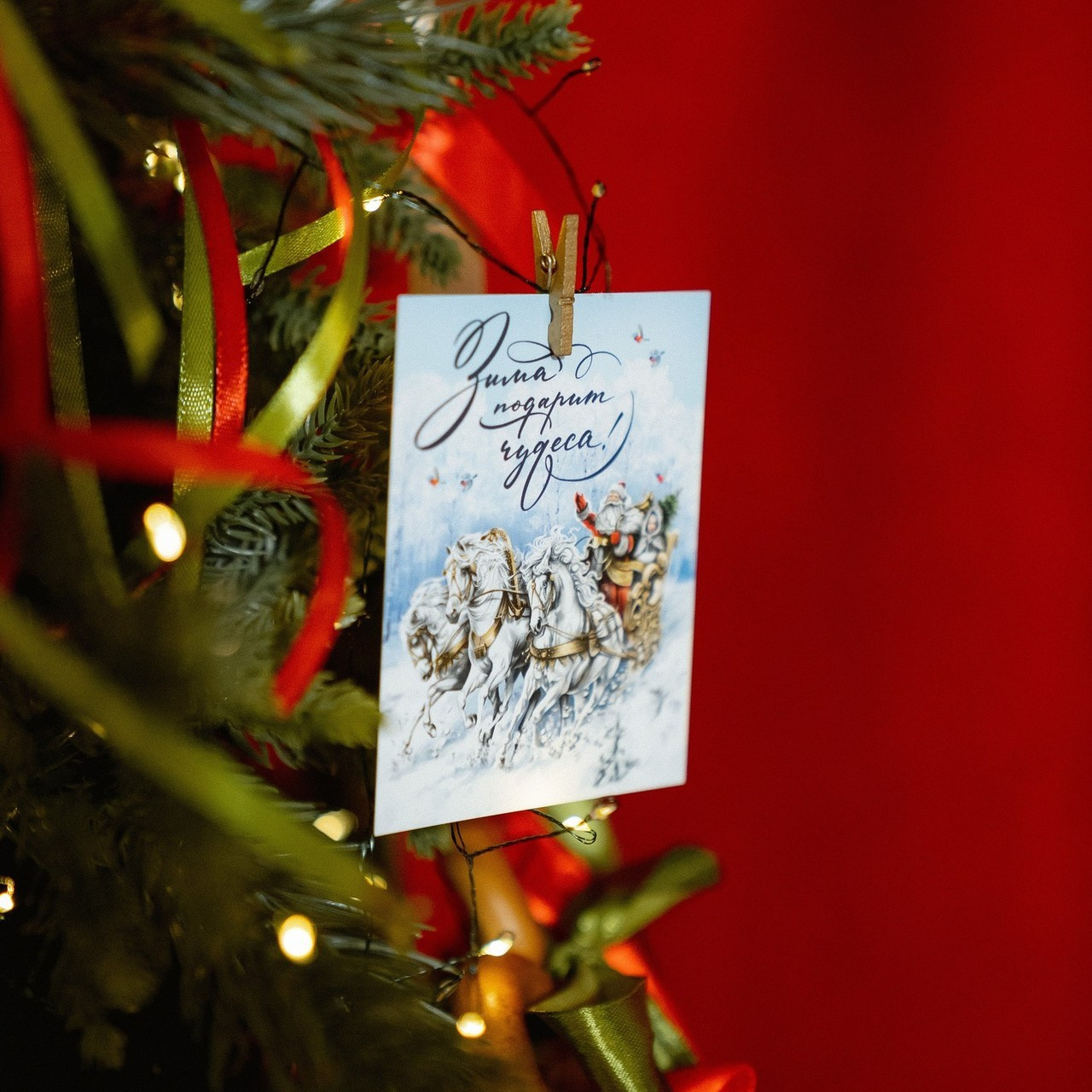 Отзывы. Свадебный и семейный фотограф в Краснодаре Марина Фалевич. Свадебная ф