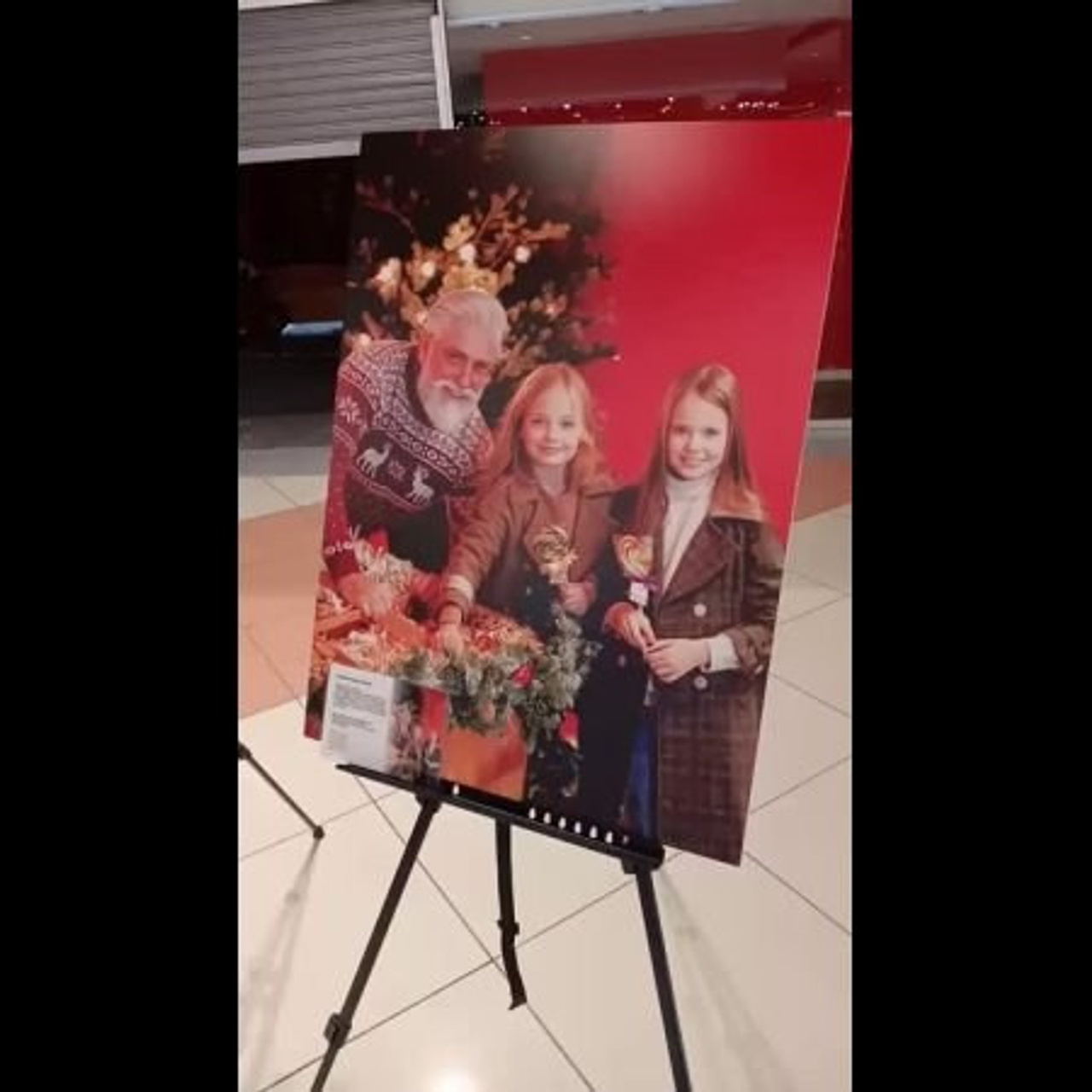 Выставки. Фотограф новорожденных в Москве — Елена Михеева