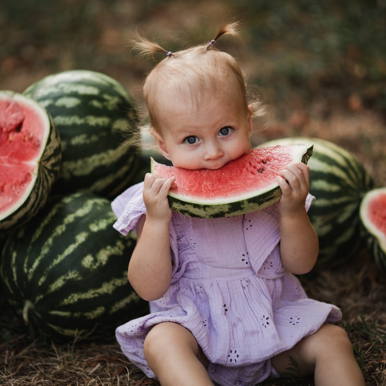 Отзывы. Семейный фотограф Елена Клименко (Sunlight)