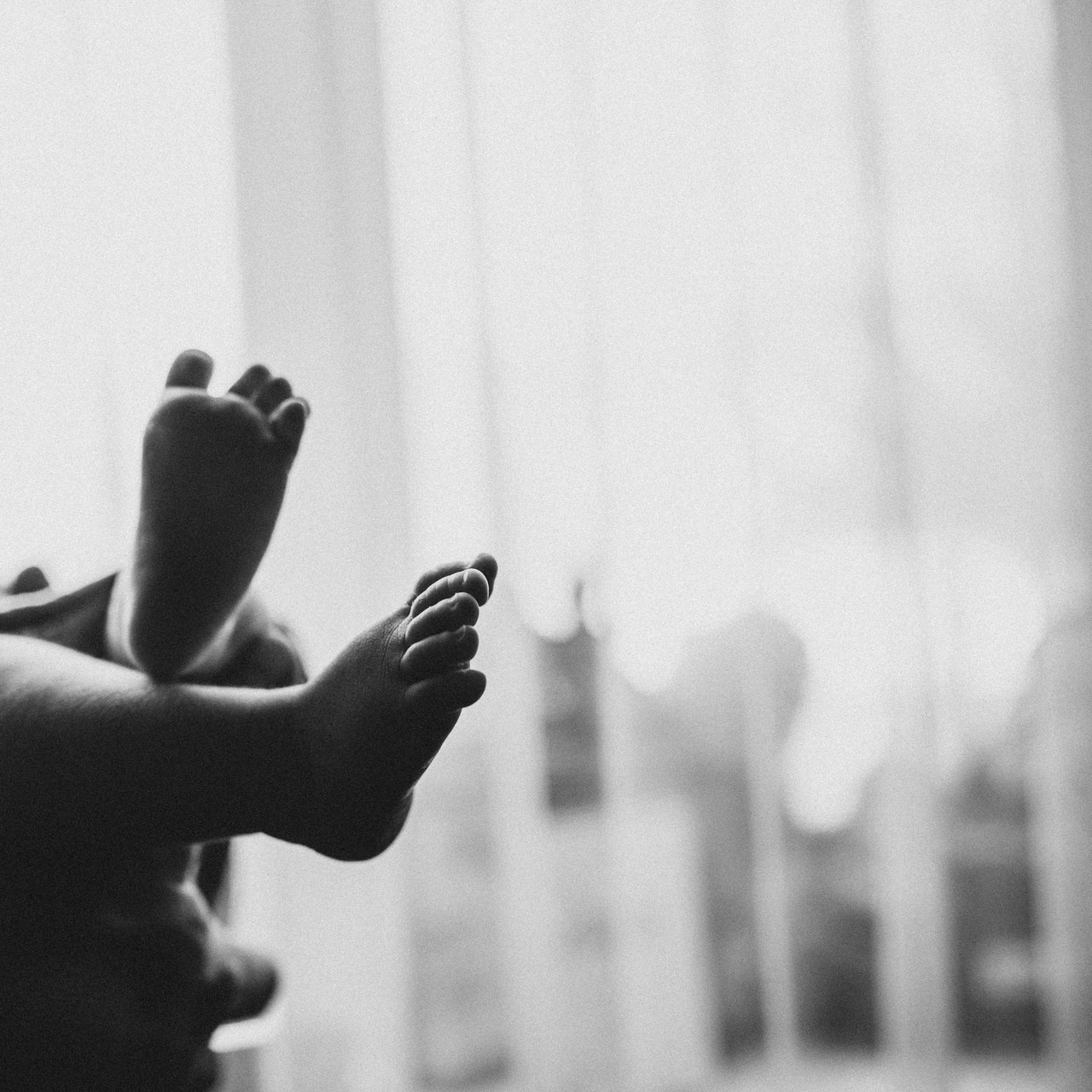 Отзывы. Семейный фотограф Елена Клименко (Sunlight)