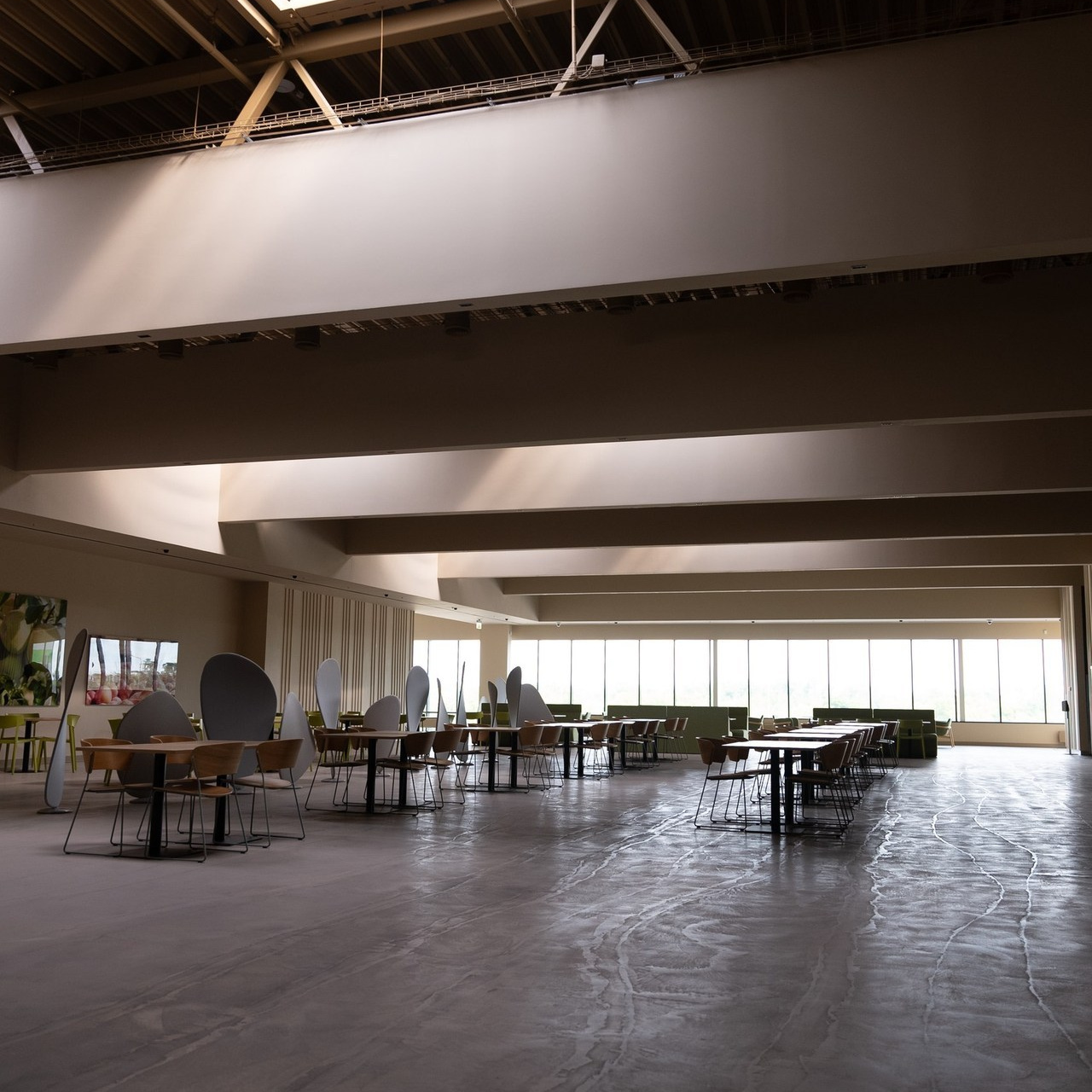 Отзывы. Репортажный фотограф в Санкт-Петербурге Елизавета Патрикеева