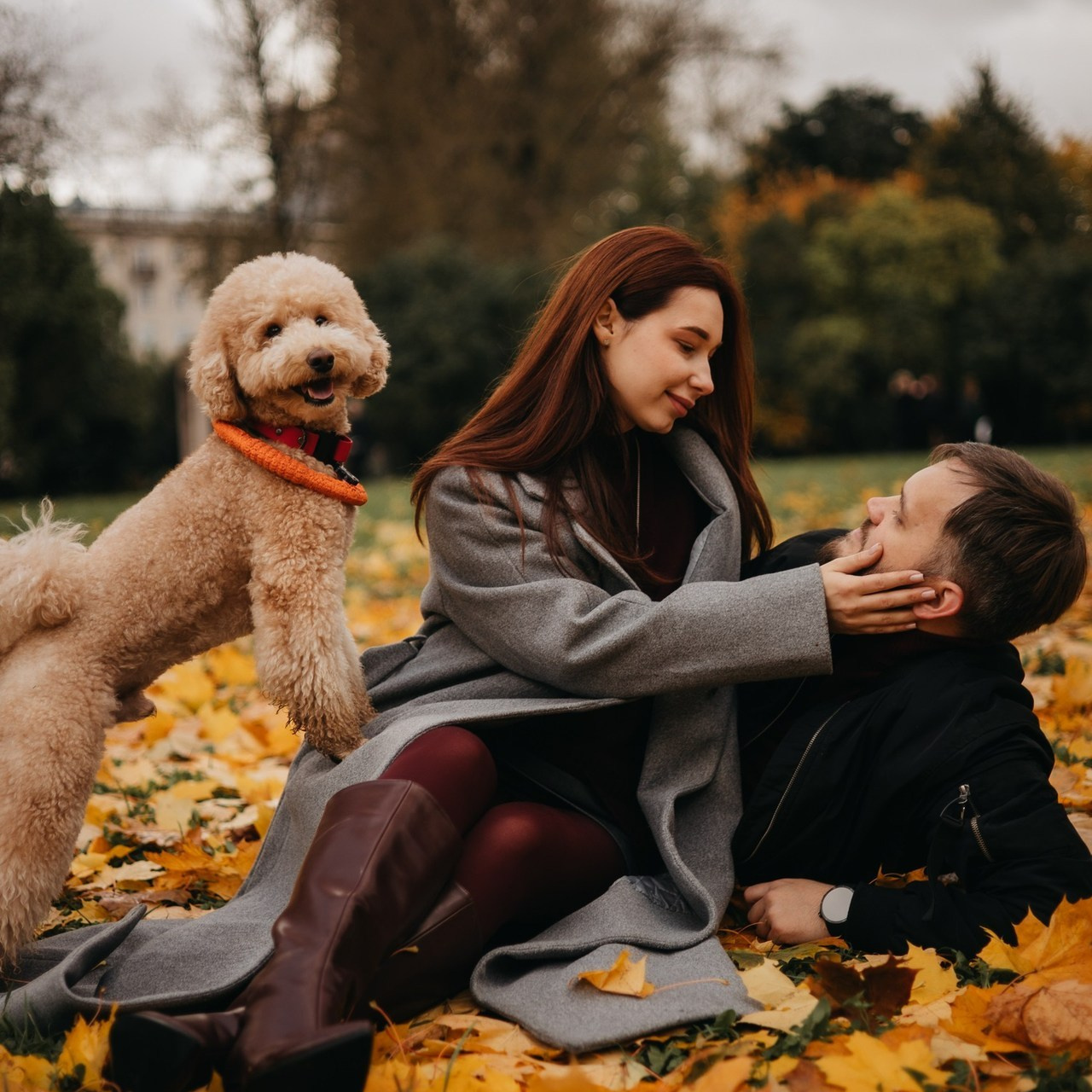 Отзывы. Фотограф животных Евгения Верцинская