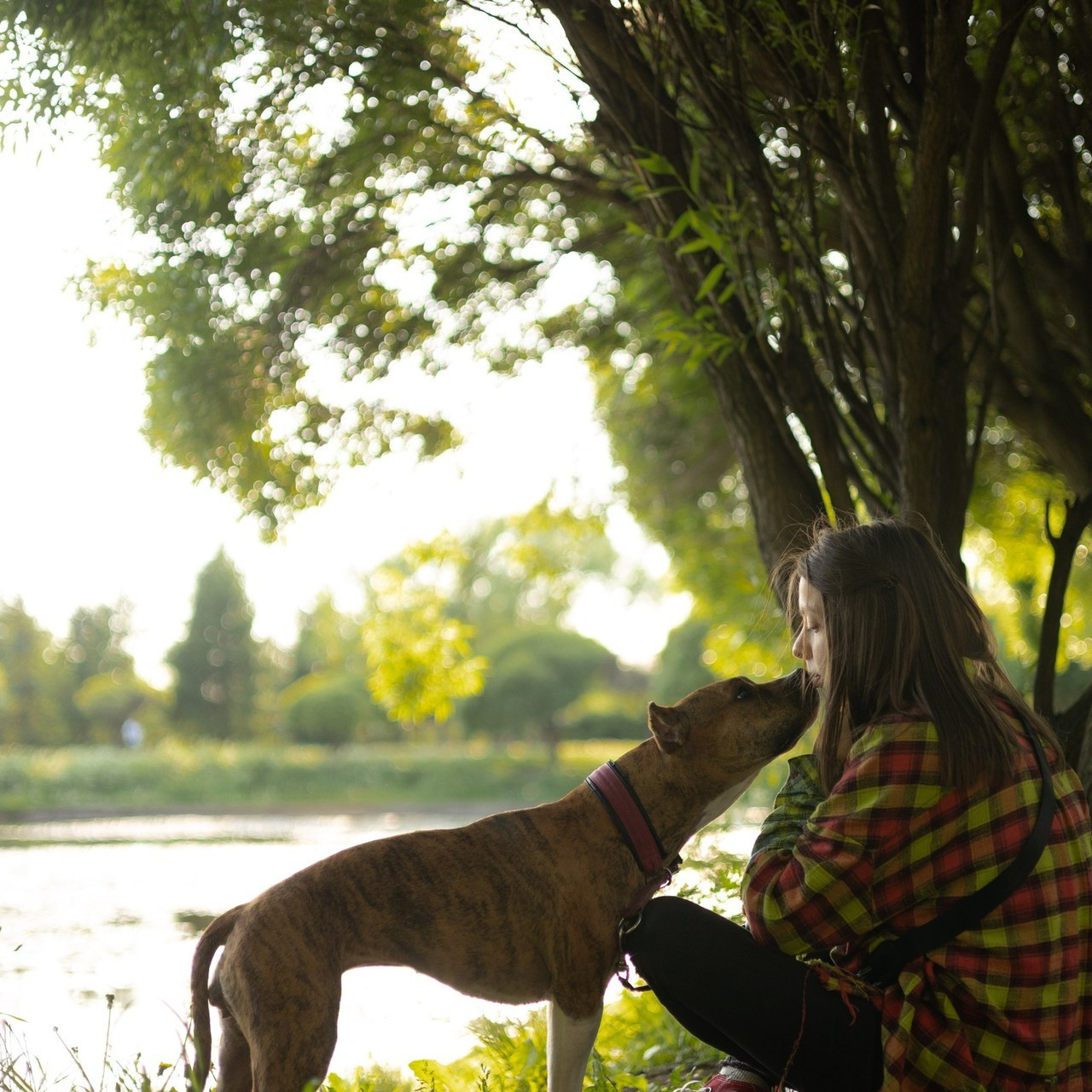 Отзывы. Фотограф животных Евгения Верцинская