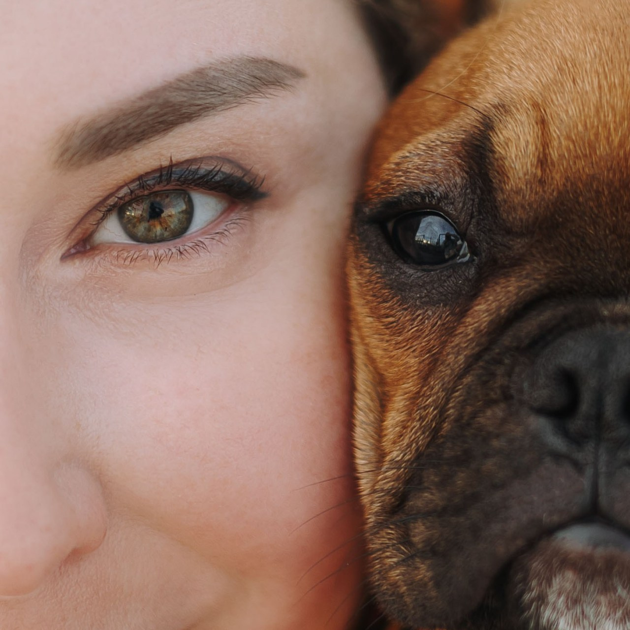 Отзывы. Фотограф животных Евгения Верцинская