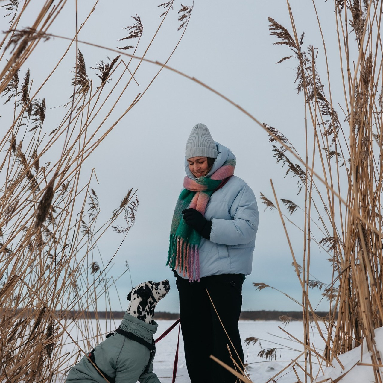 Отзывы. Фотограф животных Евгения Верцинская