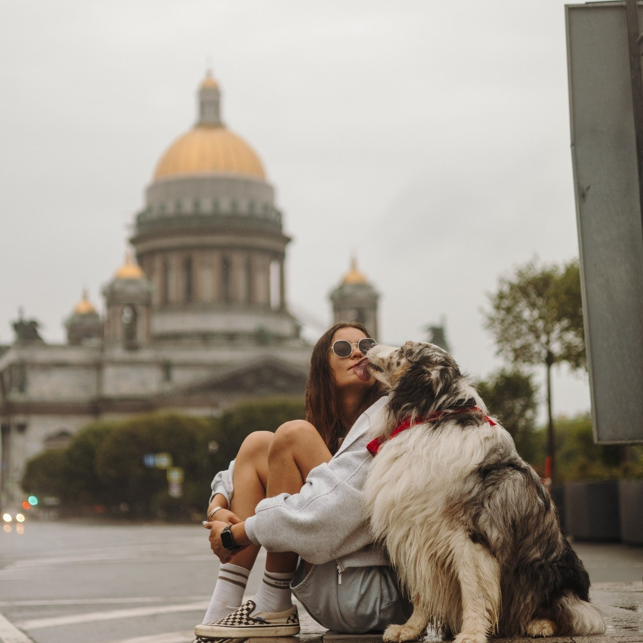 Отзывы. Фотограф животных Евгения Верцинская