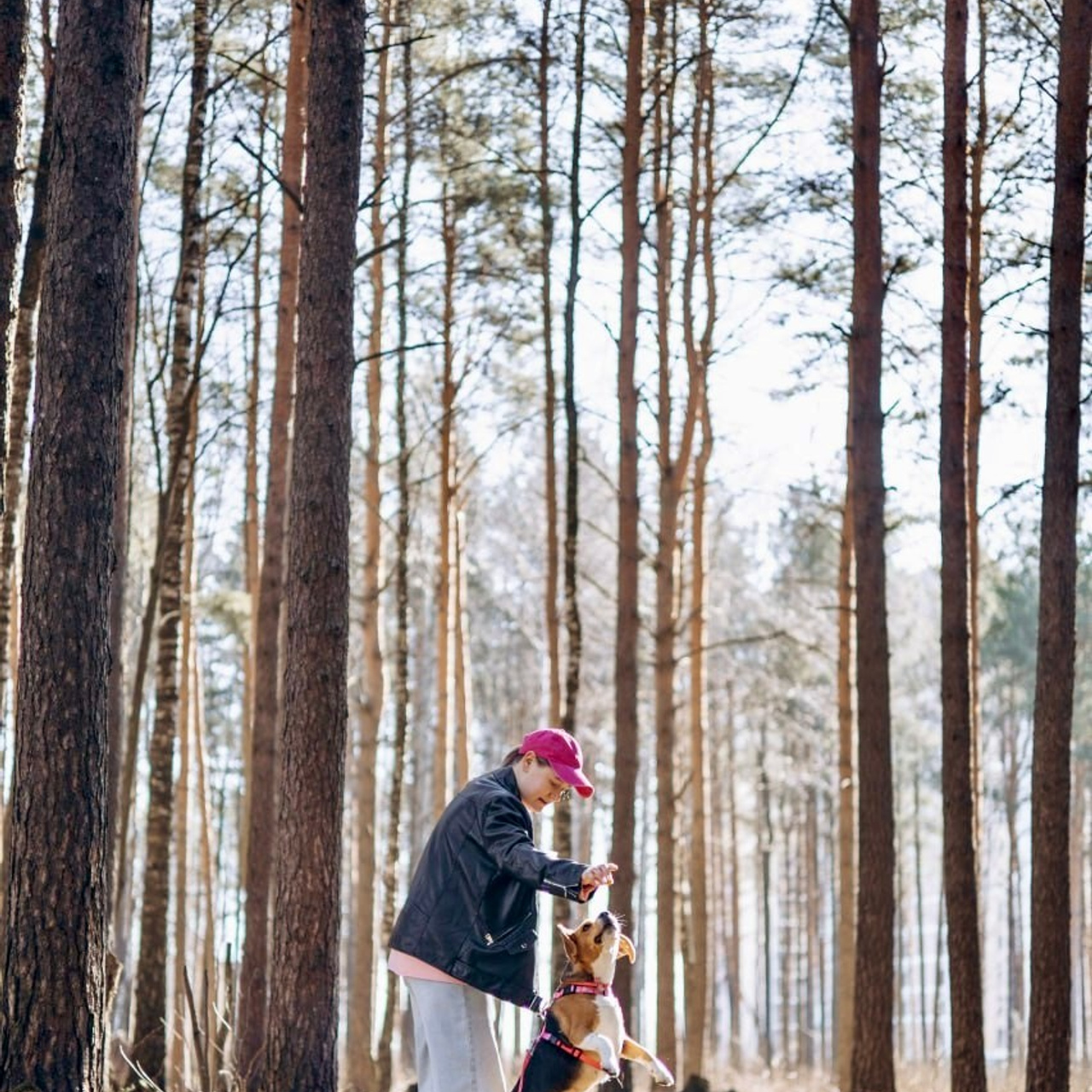 Отзывы. Фотограф животных Евгения Верцинская