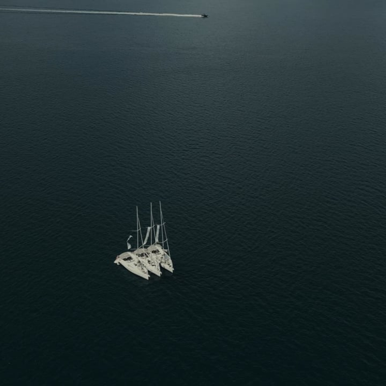 Свадебный видеограф в Москве Александр Саламатин