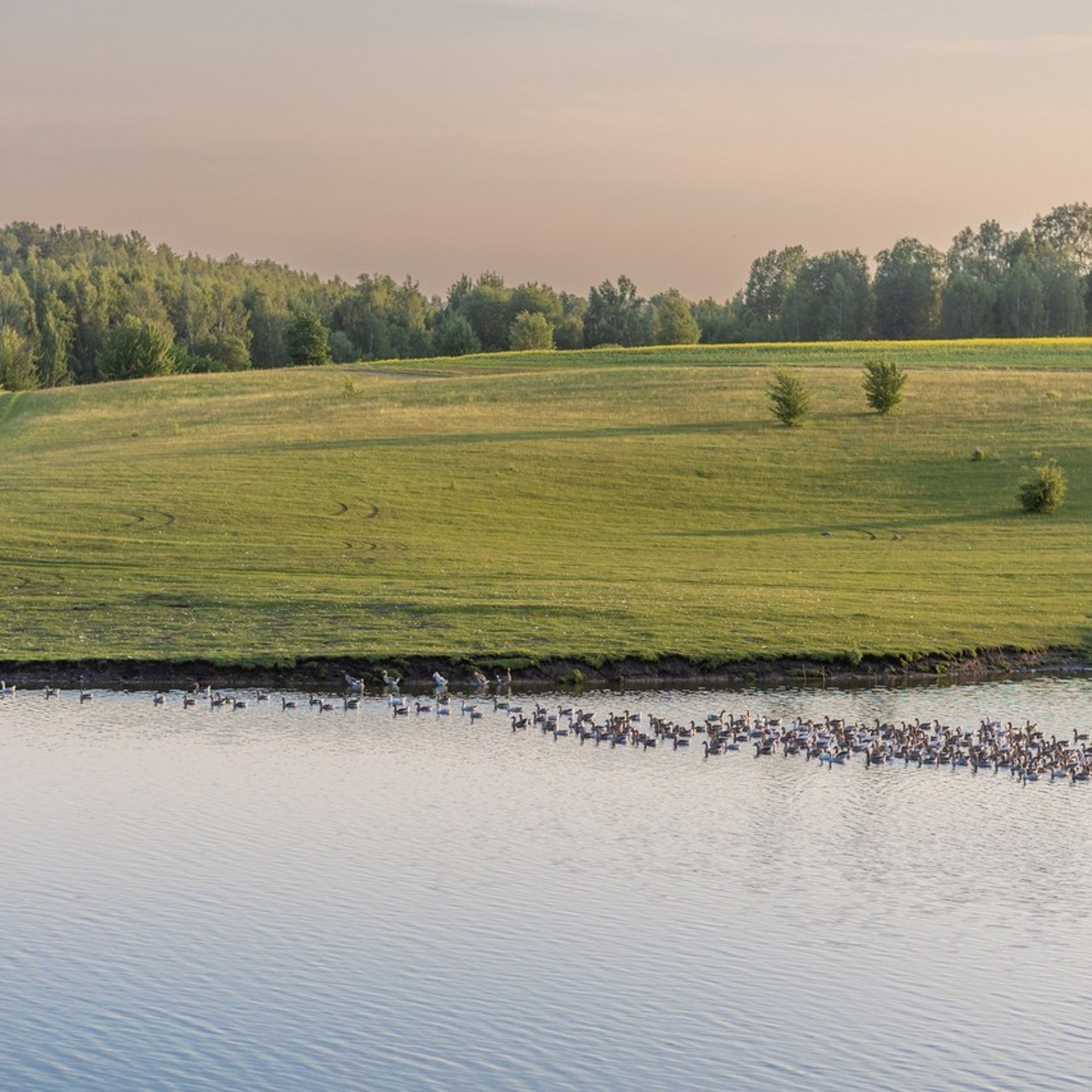 Отзывы. Семейный и детский фотограф |Брянск| Анастасия Перепелкина