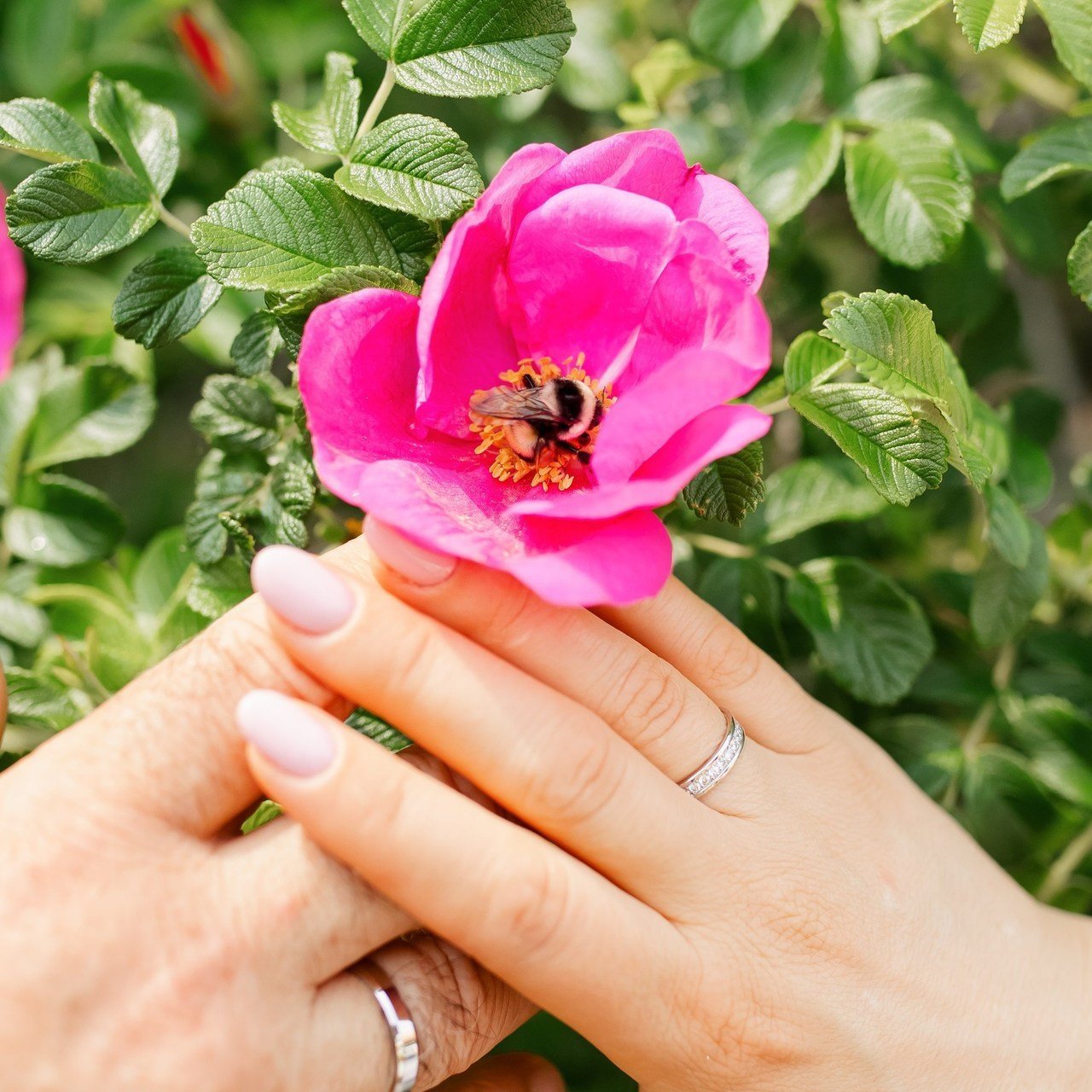 Отзывы. Свадебный фотограф в Хабаровске
