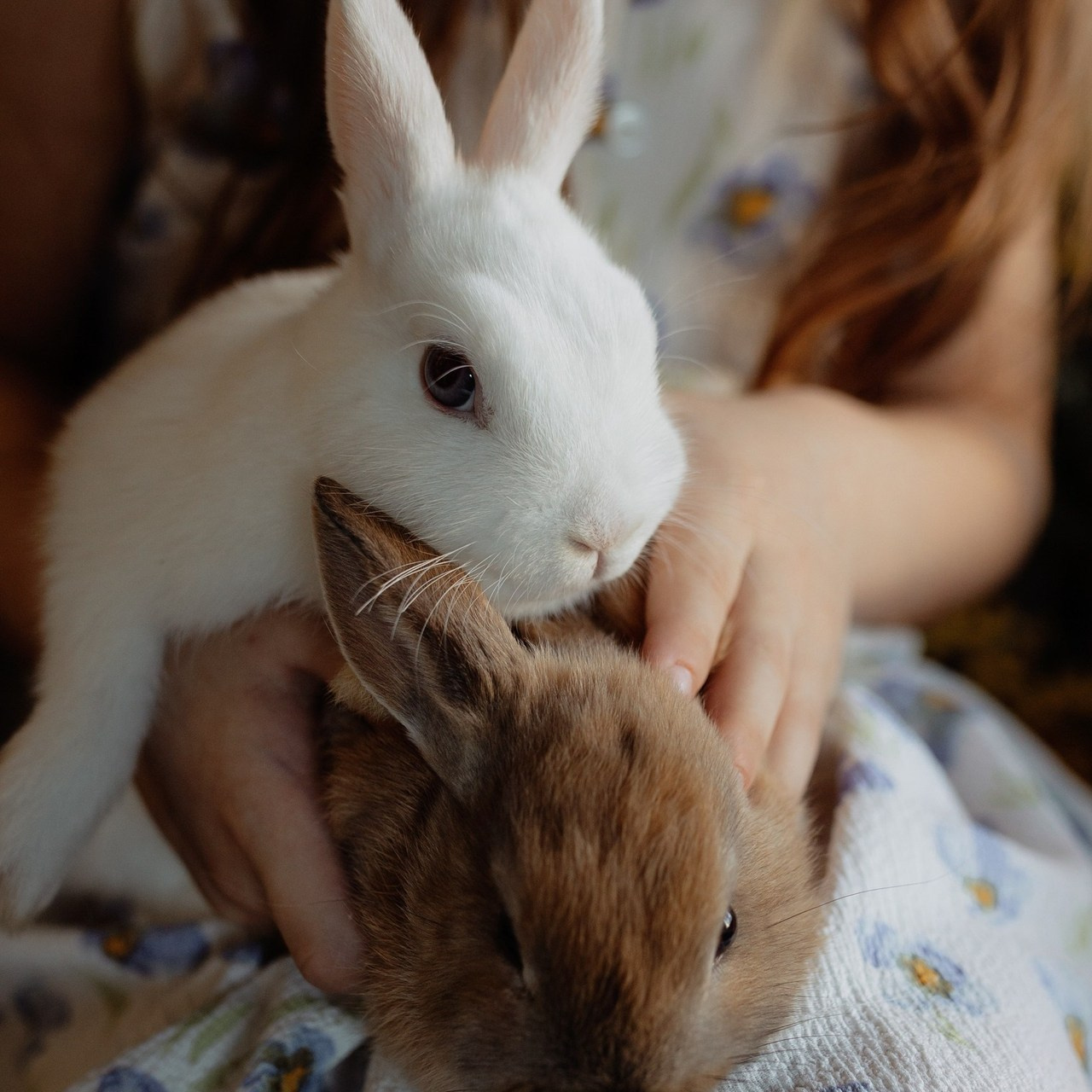 Отзывы. Семейный и женский фотограф в Воронеже Ольга Попова