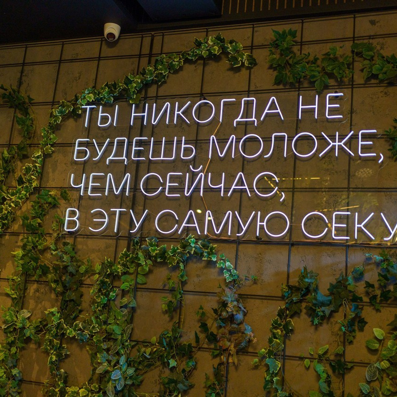 Отзывы. Фотограф Константин Пешков