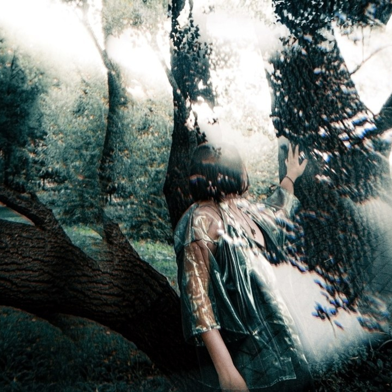 Отзывы. Анастасия Юсупова. Фотохудожник